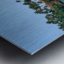 Coconut Hill Ahead Metal print