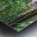 Are you for Real Monkey  Metal print