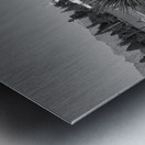 BW Reading on Twin Benches Metal print