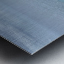 Last Monkey Standing Metal print