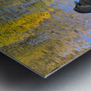 Duck like a Painting Metal print