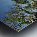 Freedom Cafe Shack Metal print