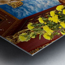 Little Brown Buddha Metal print