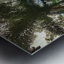 Look Up at the Trees Metal print