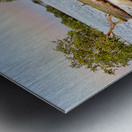 Mini Island Metal print