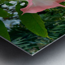 Pink Bell Flowers Metal print