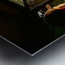 Safari Time Metal print