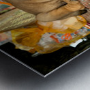 Sleepy Puppy Metal print