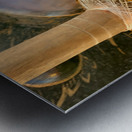 The Gong Metal print