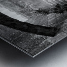 BW Stairs  Plants Metal print