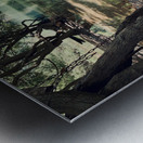 Abandoned Boat Metal print