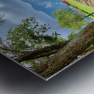 Road to Khao Sok Lake Thailand Metal print