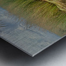 Sam Roi Yot National Park Thailand 12 Metal print