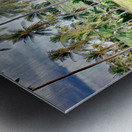 Big Rusty Shack Coconut Metal print