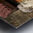 Busted Door Metal print