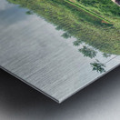 Carry the Log with a Smile Metal print