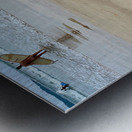 Puppy Walking on the Beach Metal print