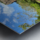 On Sigiriya s Path Metal print