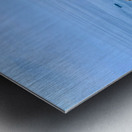 Sai Daeng Koh Tao Metal print