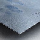 The Tree  The Wall Metal print