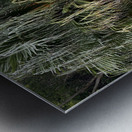 Buddha Under the Tree Metal print