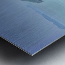 Monkey Eating a Banana Metal print