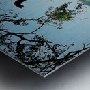 Yala National Park Sri Lanka 4 Metal print