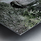 Enter the Cave Metal print