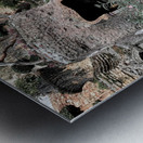 Yin Yang Entrance Metal print