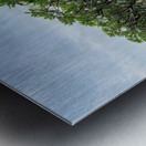 Tree in Line Metal print