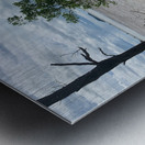 The Lonely Tree 2 Impression metal