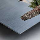 Ayutthaya Historical Park Temples 1 Metal print