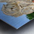 Ayutthaya Historical Park Temples 4 Metal print