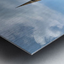 Ayutthaya Historical Park Temples 5 Metal print