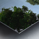 Ayutthaya Historical Park Temples 3 Metal print