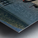 Black Swan by the Lake Metal print