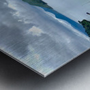 Pictons Ferry New Zealand Metal print