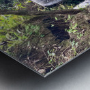 Kawasan Falls Philippines 2 Metal print