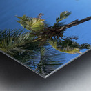 Nice View on the Blue Water Metal print