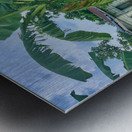 House on the Farm in the Philippines 1 Metal print