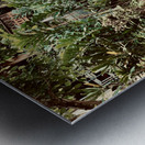 Mae Kampong Village Thailand 1 Metal print