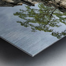 The Sacred City of Polonnaruwa 6 Metal print