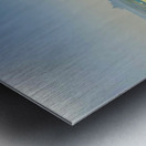 Agra Fort 13 Metal print