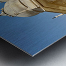 Agra Fort 23 Metal print