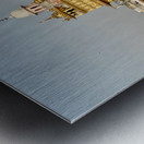 Golden Temple Amritsar 12 Metal print