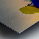 Golden Temple Amritsar 7 Metal print