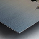 Golden Temple Amritsar 11 Metal print