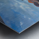 Window on Bali Metal print