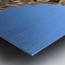 Man Looking Outside of Old Temple Metal print