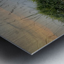 Ella Mountain Dog Metal print